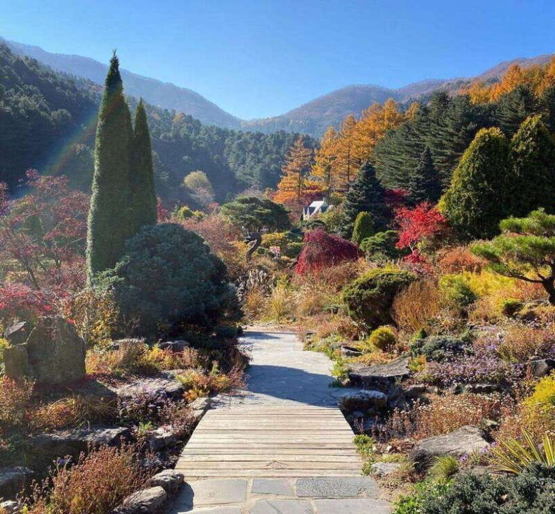 seoul-nami-rail-bike-morning-garden-healing-park