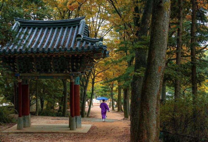 seoul-scenic-sunset-hike-temple-korean-street-food-tour