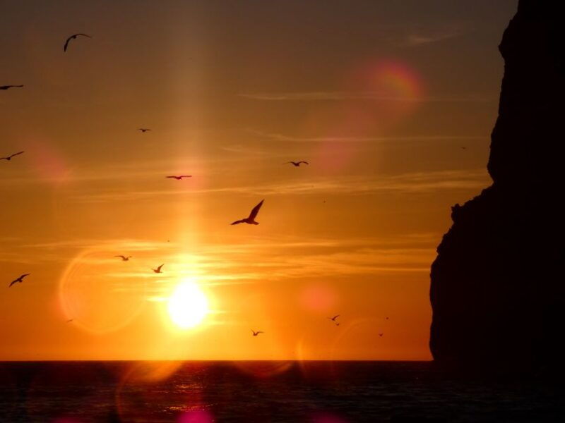 sesimbra-arrabida-natural-park-cabo-espichel-sunset-tour