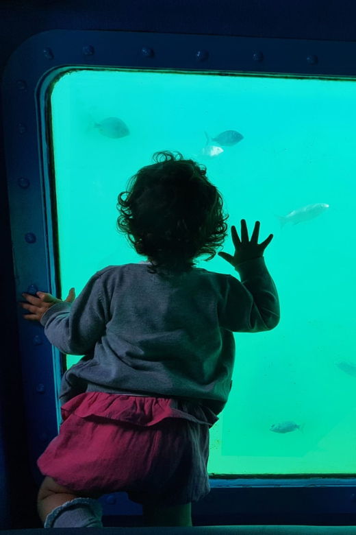 sesimbra-family-friendly-boat-sea-tour-w-submarine-vision