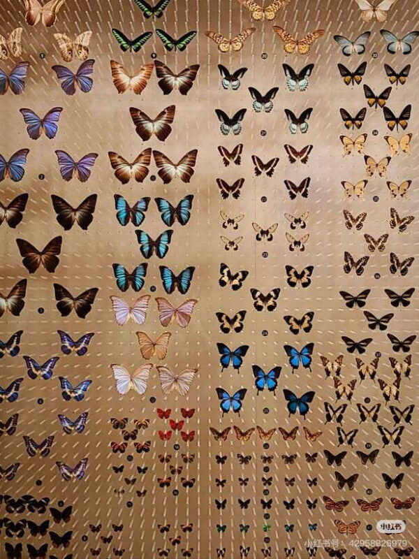 shanghai-natural-history-museum-with-tickets