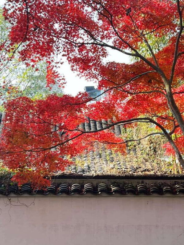 shanghai-one-day-tour-to-suzhou-lingering-garden-tiger-hill