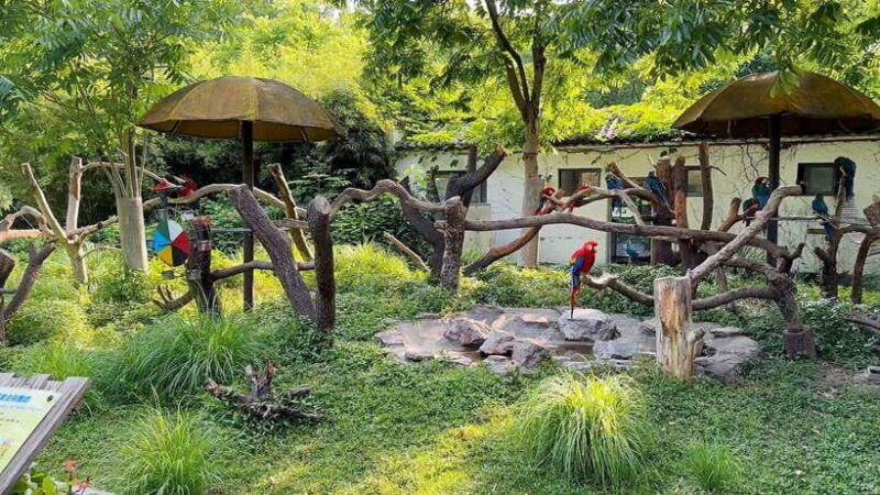 shanghai-zoo-and-zhujiajiao-water-town-tour-with-boat-ride