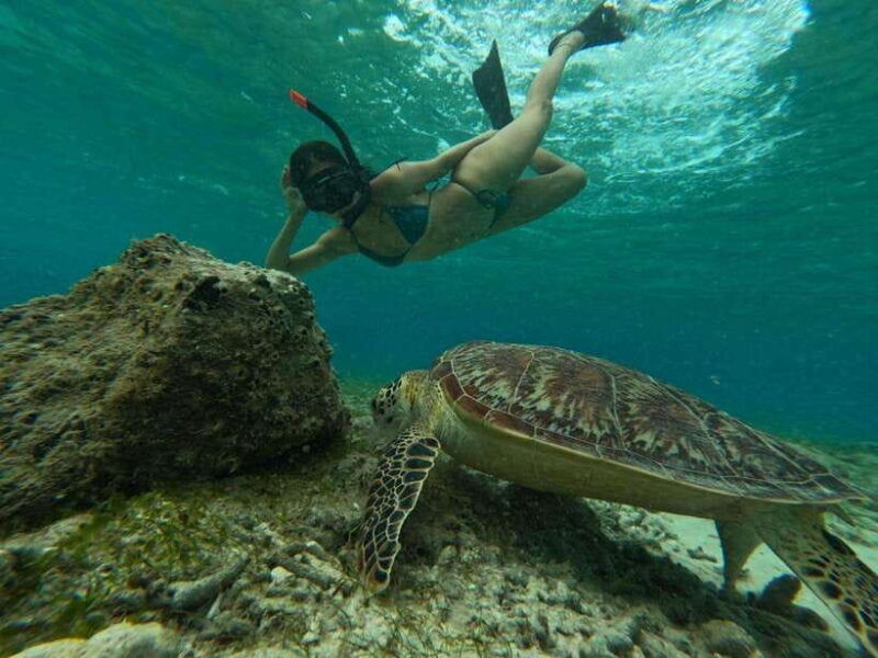 shared-snorkeling-tour-around-3-island-gopro-photoshoot