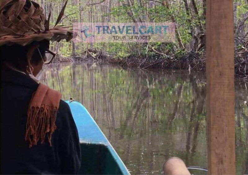 shared-underground-river-with-mangrove-paddle-boat-lunch