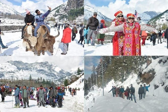 Shimla Manali Manikaran Kasol 7 Days Private Tour From Chandigarh - What to Expect from the Itinerary