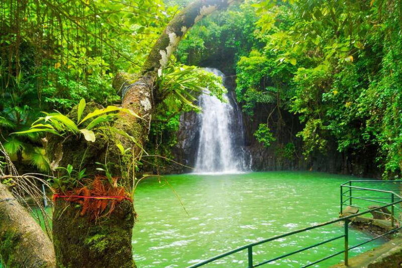 siargao-tour-c-private-tour