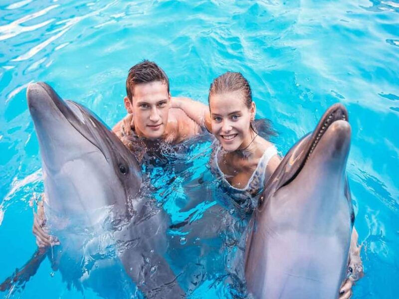 side-alanya-swimming-with-dolphins