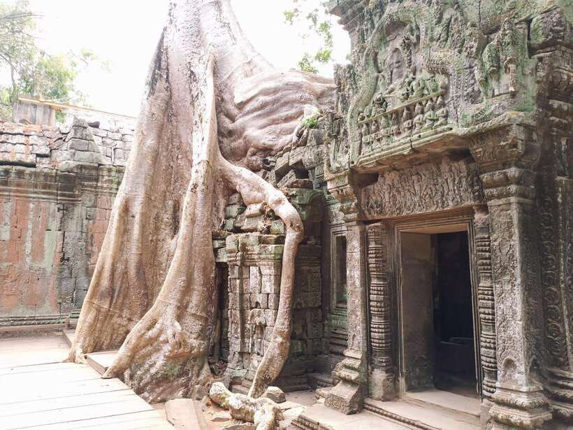 siem-reap-4-hour-ta-prohm-and-banteay-kdei-guided-tour