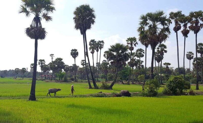 siem-reap-6-hour-easy-rider-motorbike-tour