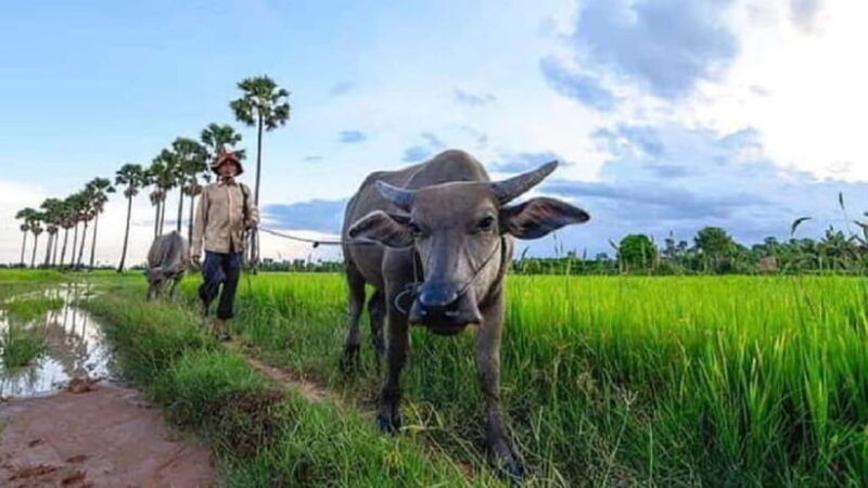 siem-reap-scenic-countryside-silk-farm-jeep-tour