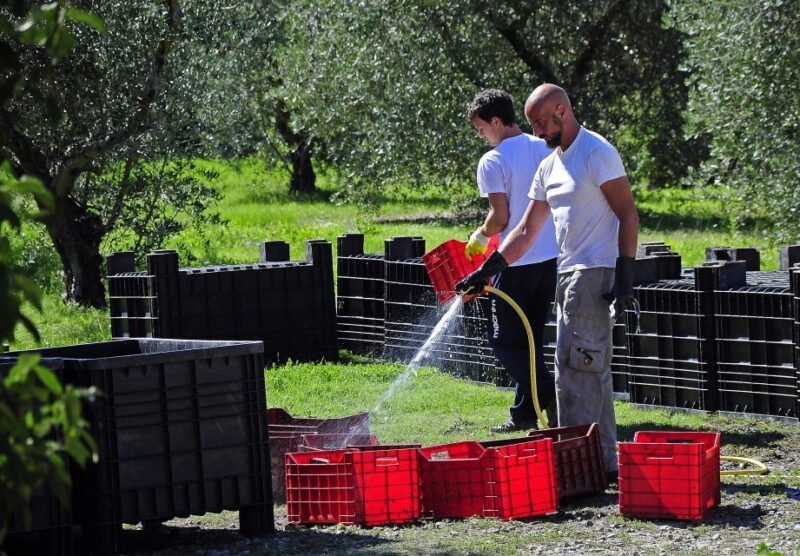 siena-educational-wine-tour-tasting