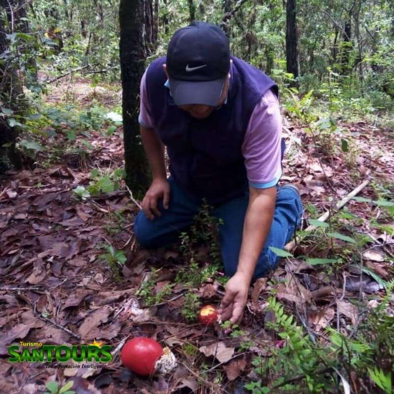 sierra-norte-eco-adventure-tour
