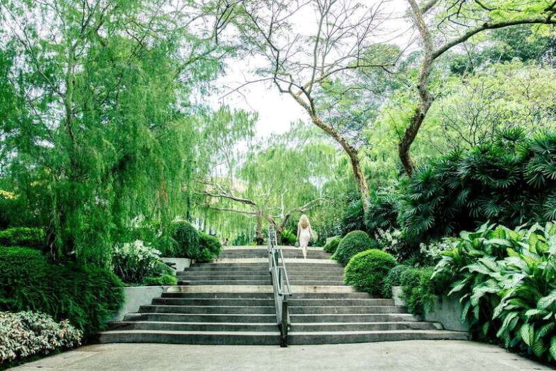 singapore-half-day-city-tour-with-hotel-transfer