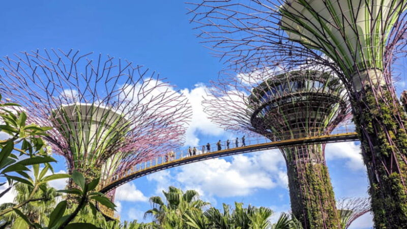 singapore-morning-tourgardens-by-the-bay-sentosa-transfer