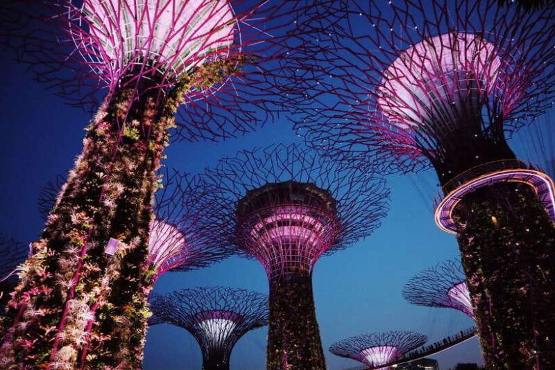singapore-private-tour-with-a-driver