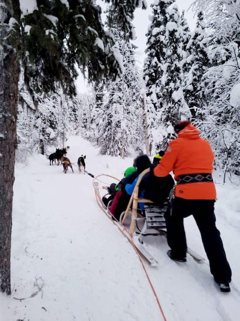 sirkka-5-km-husky-sledding-ride-in-levi