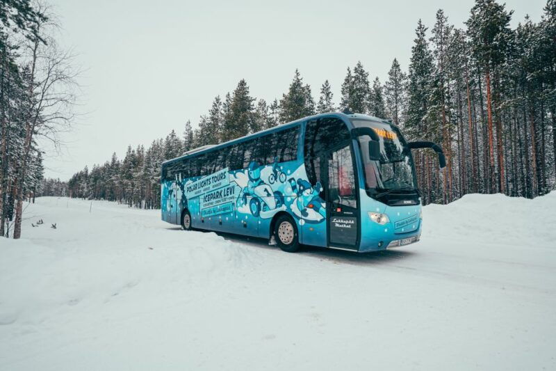sirkka-levi-ice-karting-experience-with-optional-transfer