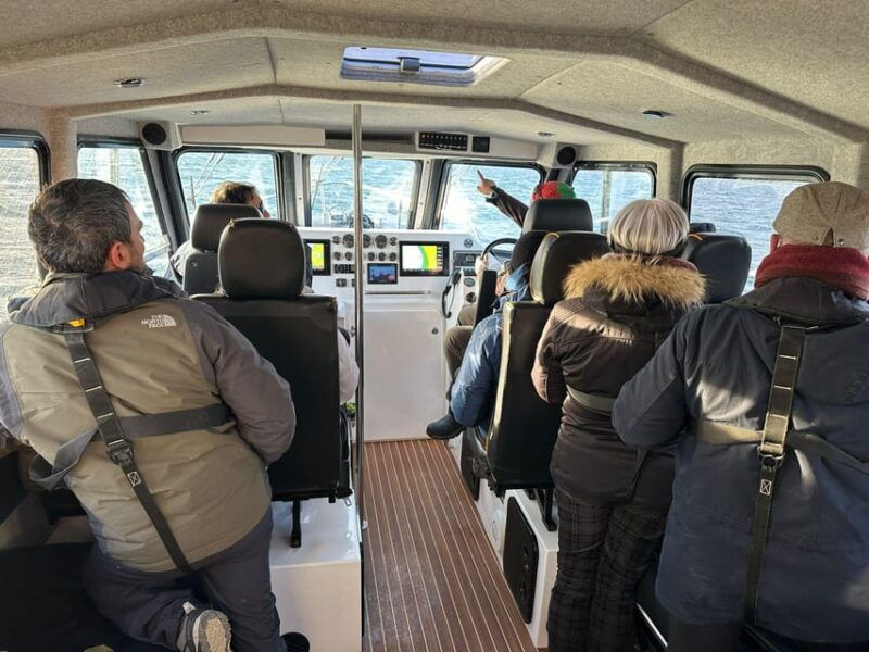 skjervoy-orca-and-whale-watching-comfort-heated-boat-trip