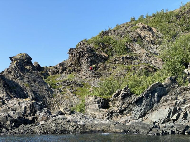 skjervoy