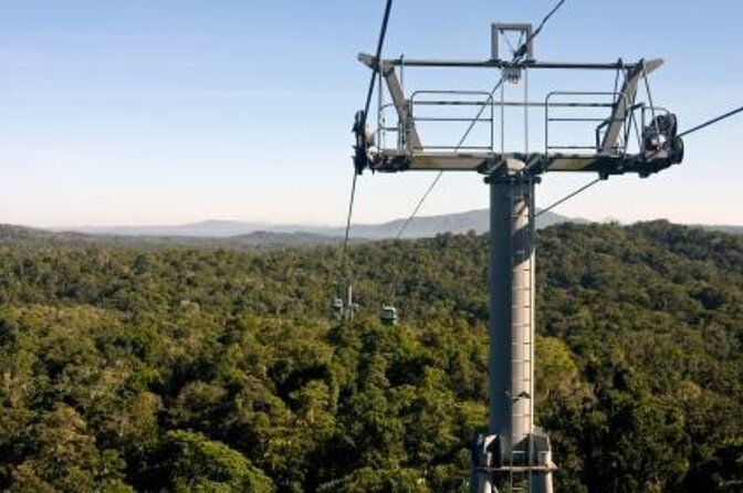 Skyrail Rainforest Cableway Day Trip from Palm Cove - Exploring the Skyrail Rainforest Cableway Day Trip from Palm Cove