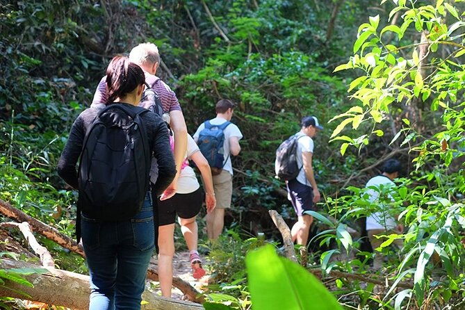 Small Group : Trekking Trip in Chiang Mai (Doi Suthep Area) with Market Tour - The Itinerary: A Day of Diverse Experiences