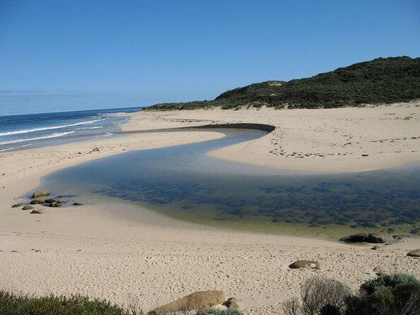 Small-Group Wine Tour in Margaret River with Cheese Board - Key Points
