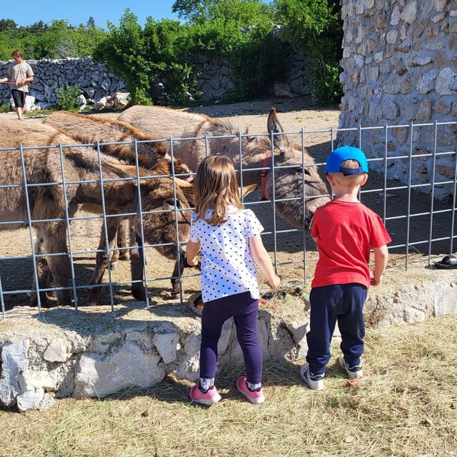 smrika-near-rijeka-krk-crikvenica-donkey-farm-entry-ticket