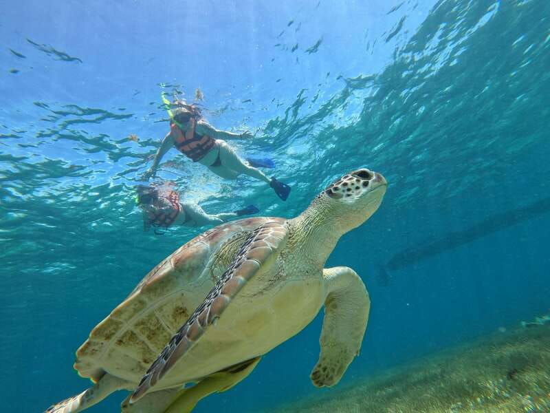 snorkel-in-tulum-reef-boat-ride-and-caleta