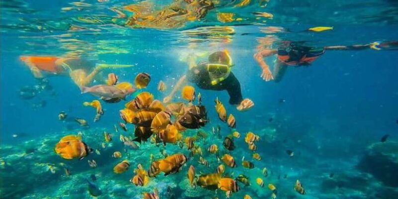 snorkeling-at-blue-lagoon-and-waterfall-all-inclusive