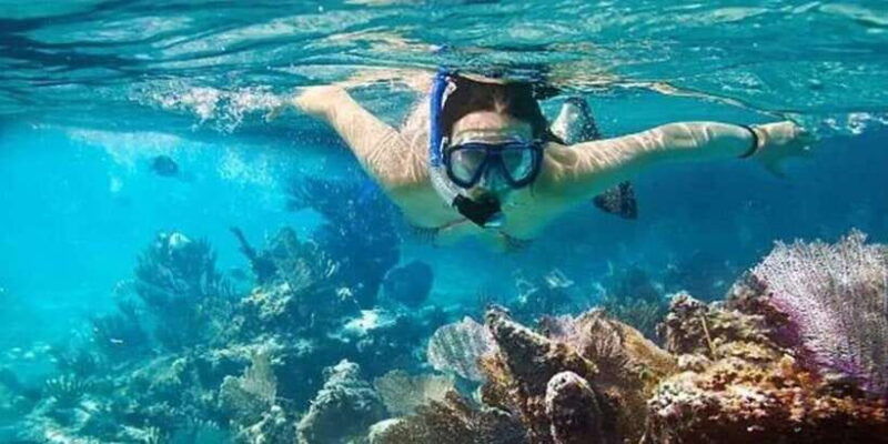 snorkeling-in-port-city