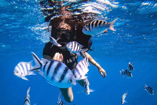 Snorkeling Tour in Tahiti on Punaauia - Exploring the Snorkeling Tour in Tahiti on Punaauia