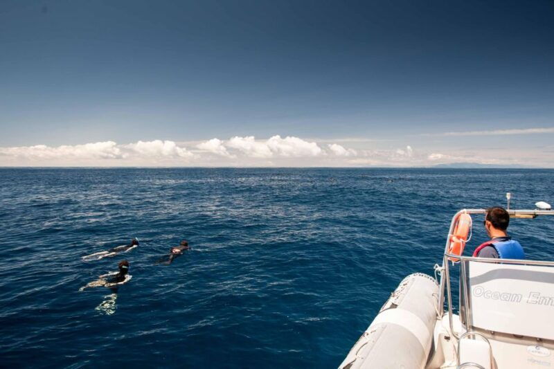 snorkeling-wildlife-in-terceira-island