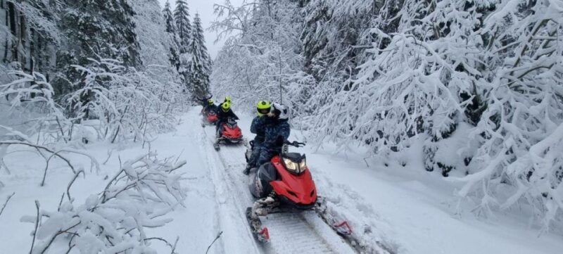 snowmobiles-tour-in-carpathian-mountains