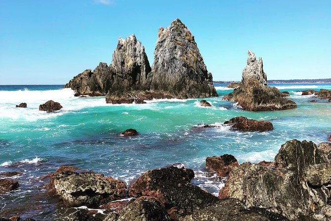 South Coast Nature Tour - Key Points
