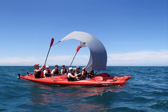 Southern Duo kayak & walk tour - Key Points