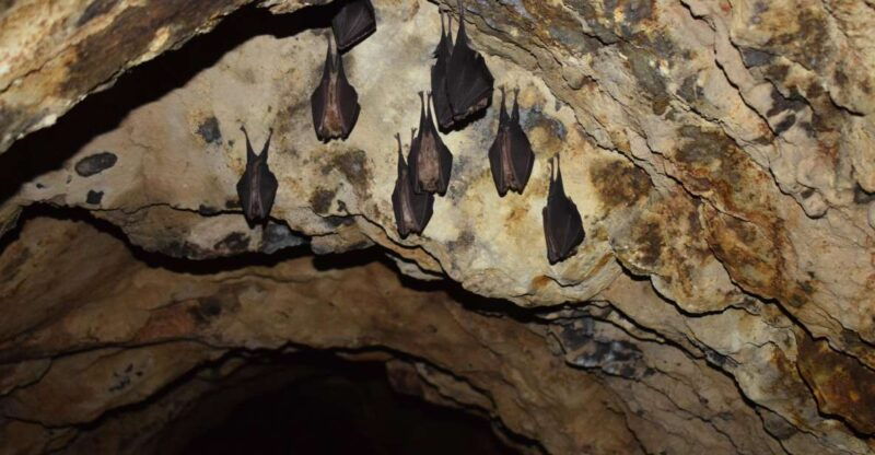 speleology-in-the-arouca-geoparks-tungsten-mines