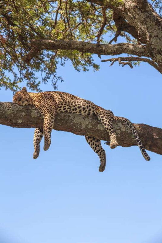 sri-lanka-4-day-tour-wildlife-and-beach