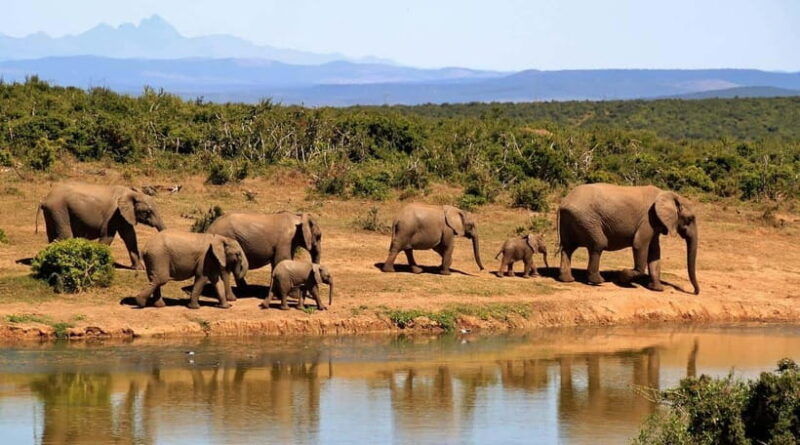 sri-lanka-4-days-sightseeing-tour-with-4-days-beach-holiday