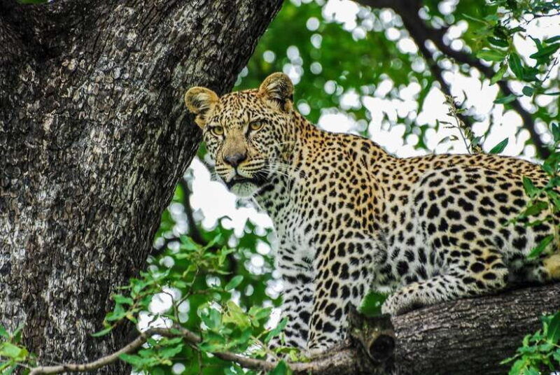 sri-lanka-7-day-off-the-beaten-path-private-tour