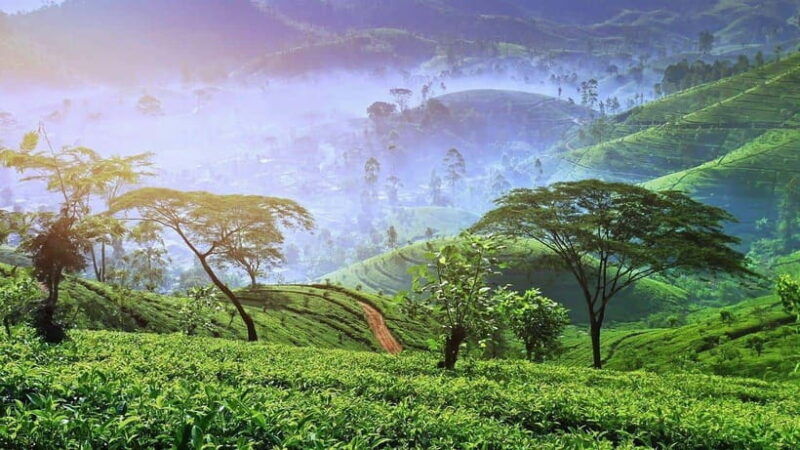 sri-lanka-8-day-sri-lanka-temple-spiritual-journey-tour