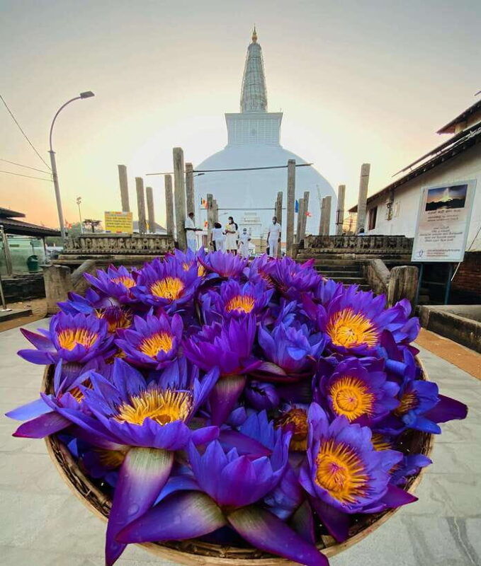 sri-lanka-ancient-temple-wildlife-hill-country-train