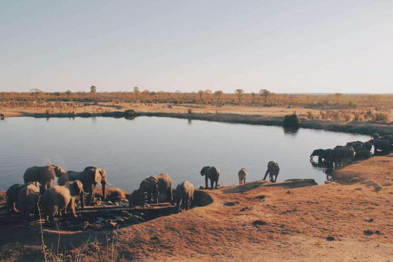 sri-lanka-compact-highlight-5-day-tour-sigiriya-kandy-ella