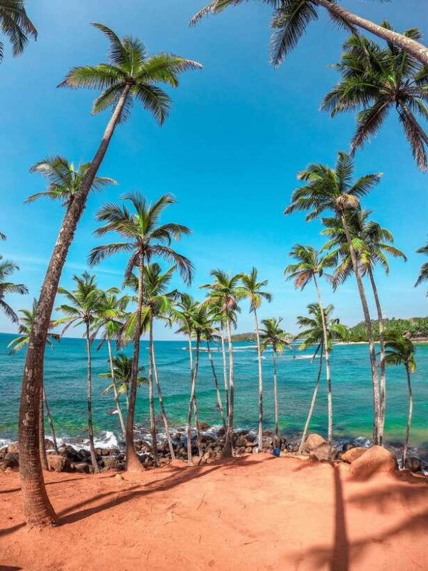 sri-lanka-private-8-day-tour-transport-guide-hotels-food