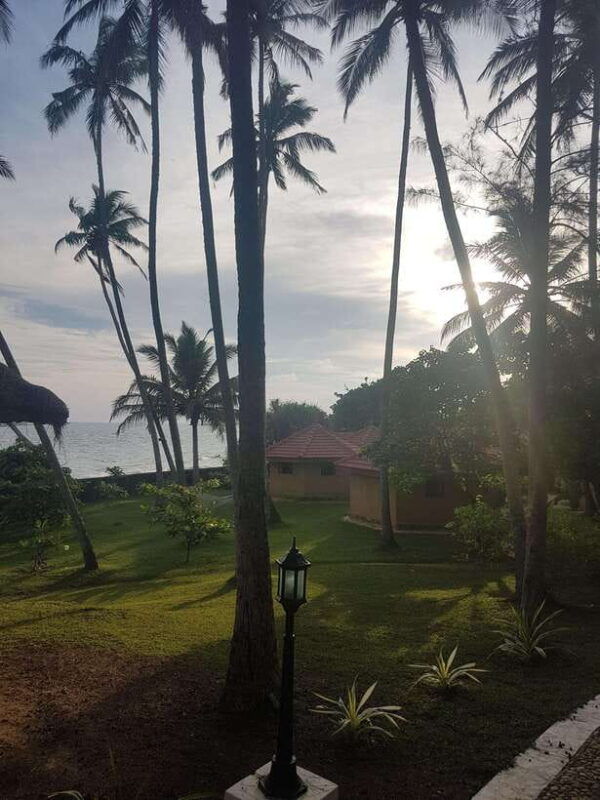 sri-lankas-highlights-12-day-tour-with-temples-tea-plantations-and-nature