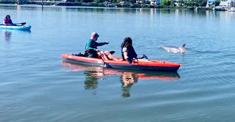 st-augustine-dolphin-and-manatee-paddle-or-kayak-tour