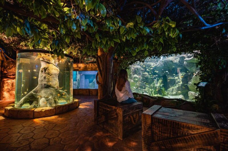 st-pauls-bay-malta-national-aquarium-entry-ticket