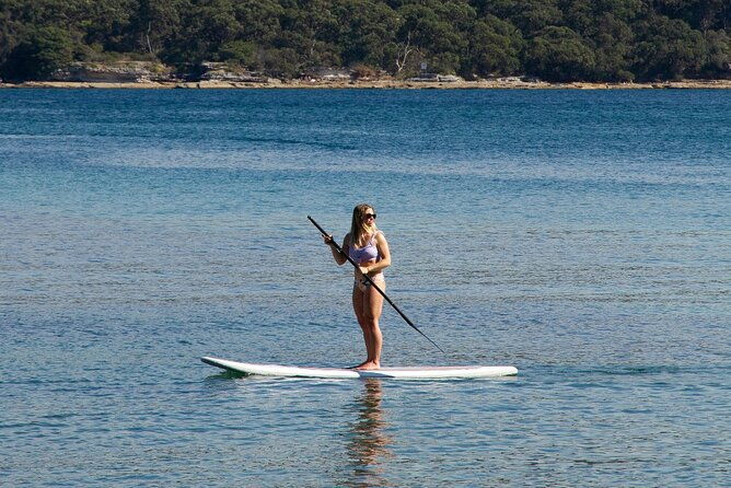 Stand Up Paddle Board Hire - 2 Hours - Who Should Consider This SUP Experience?