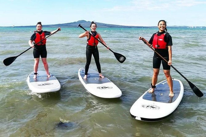 Stand Up Paddle Board rental - 1 hour - Introduction