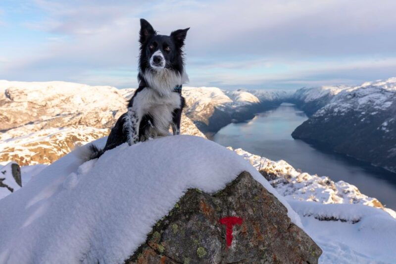 stavanger-preikestolen-winter-hike-hot-lunch